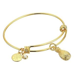 Halos & Glories Pineapple Charm Bracelet